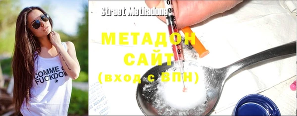 ПСИЛОЦИБИНОВЫЕ ГРИБЫ Осинники