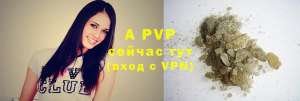 ПСИЛОЦИБИНОВЫЕ ГРИБЫ Осинники