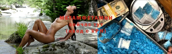 ПСИЛОЦИБИНОВЫЕ ГРИБЫ Осинники