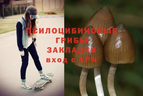 ПСИЛОЦИБИНОВЫЕ ГРИБЫ Осинники
