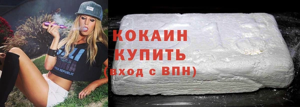 ПСИЛОЦИБИНОВЫЕ ГРИБЫ Осинники