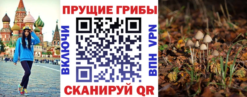 цены наркотик  Кириллов  Галлюциногенные грибы Magic Shrooms 
