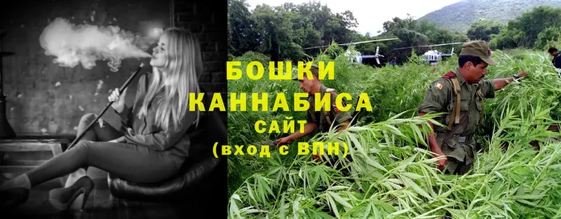 Шишки марихуана Ganja  купить  цена  мориарти состав  Кириллов 